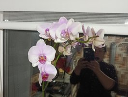 ElzaJewel is No.56 on Most Reliable Big Tits Cams Today (2026-07-19 23:15 UTC)