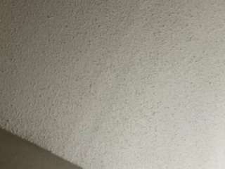 NastyNate1717 is No.35 on Rising Cam Models Today (2026-07-25 22:46 UTC)