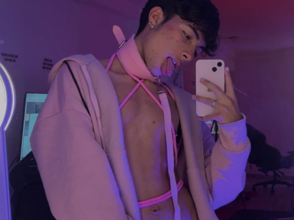No.8 on Cam Models Making a Comeback — osamu_tay — 2026-06-22 22:10 UTC